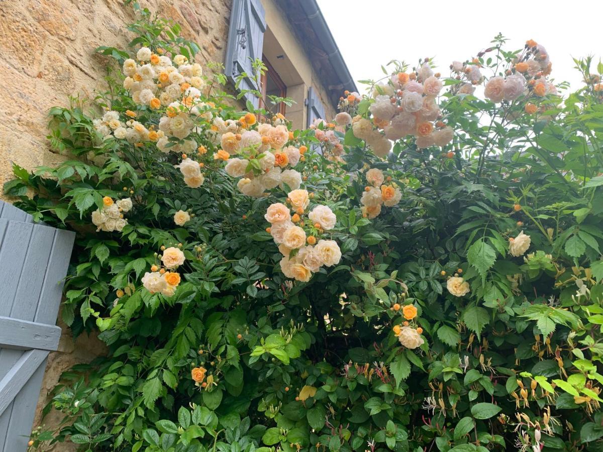 Veyrignac La Riviere Esperanceヴィラ エクステリア 写真