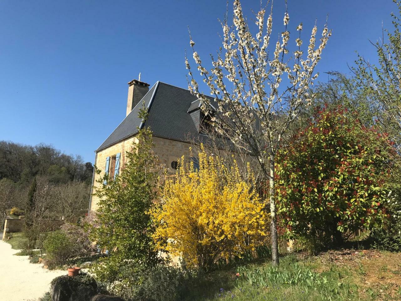 Veyrignac La Riviere Esperanceヴィラ エクステリア 写真